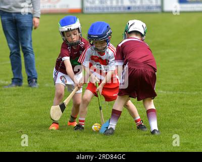 Grundschulkinder, die im Owenbeg Centre of Excellence, County Derry, Hurling spielen. Foto: George Sweeney/Alamy Stock Photo Stockfoto