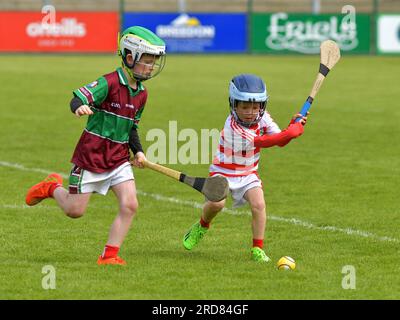 Grundschulkinder, die im Owenbeg Centre of Excellence, County Derry, Hurling spielen. Foto: George Sweeney/Alamy Stock Photo Stockfoto