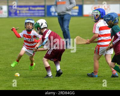 Grundschulkinder, die im Owenbeg Centre of Excellence, County Derry, Hurling spielen. Foto: George Sweeney/Alamy Stock Photo Stockfoto