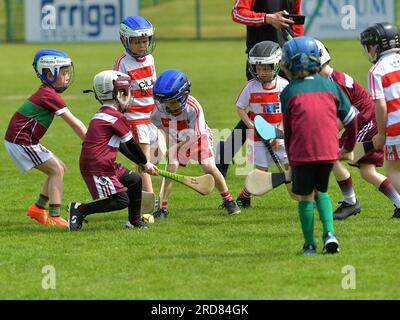 Grundschulkinder, die im Owenbeg Centre of Excellence, County Derry, Hurling spielen. Foto: George Sweeney/Alamy Stock Photo Stockfoto