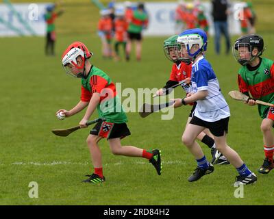 Grundschulkinder, die im Owenbeg Centre of Excellence, County Derry, Hurling spielen. Foto: George Sweeney/Alamy Stock Photo Stockfoto