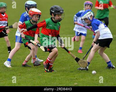 Grundschulkinder, die im Owenbeg Centre of Excellence, County Derry, Hurling spielen. Foto: George Sweeney/Alamy Stock Photo Stockfoto