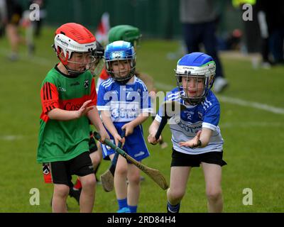 Grundschulkinder, die im Owenbeg Centre of Excellence, County Derry, Hurling spielen. Foto: George Sweeney/Alamy Stock Photo Stockfoto