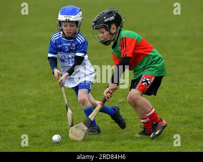 Grundschulkinder, die im Owenbeg Centre of Excellence, County Derry, Hurling spielen. Foto: George Sweeney/Alamy Stock Photo Stockfoto
