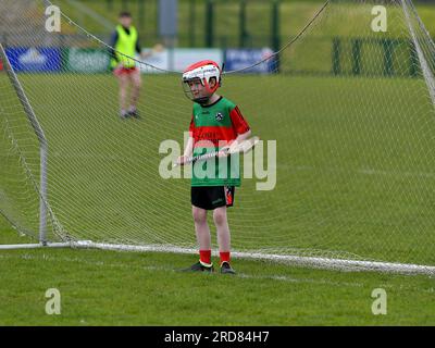 Grundschulkinder, die im Owenbeg Centre of Excellence, County Derry, Hurling spielen. Foto: George Sweeney/Alamy Stock Photo Stockfoto