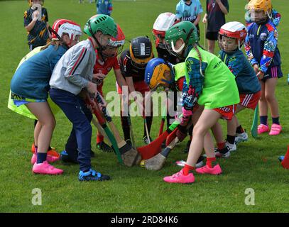 Grundschulkinder, die in Derry, Nordirland, Hurling spielen. Foto: George Sweeney/Alamy Stock Photo Stockfoto