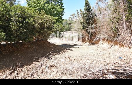 Kirche und Schloss der Stadt Llorens del Penedes, Bajo Panadés, Tarragona, Katalonien, Spanien, Europa Stockfoto