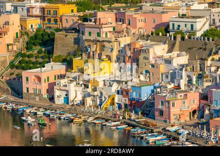 Aerial of Marina di Corricella, Procida, Flegrean Islands, Campania, Italien, Europa Stockfoto