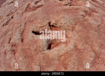Dinosaurierspuren in einer Touristenattraktion im Navajo Indian Reservation in der Nähe von Tuba City, Arizona, United State of America, Nordamerika Stockfoto
