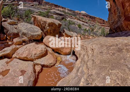 Ein kleiner Wasserfall in der Nähe der Kachina Bridge im Deer Canyon, Natural Bridges National Monument, Utah, USA, Nordamerika Stockfoto