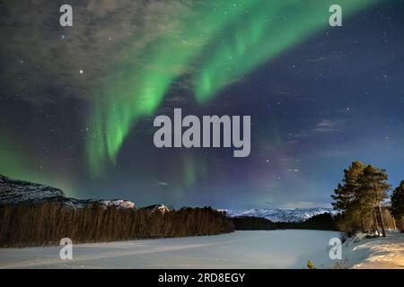 Aurora Borealis (Nordlichter) über dem Fluss Alta, in der Nähe von Alta, Polarkreis, Norwegen, Skandinavien, Europa Stockfoto