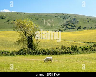 Der Long man of Wilmington, ein Hügel, der auf den Sussex Downs geschnitzt wurde, möglicherweise neolithisch, aus dem 15. Jahrhundert oder später, über dem Dorf Wilmington Stockfoto