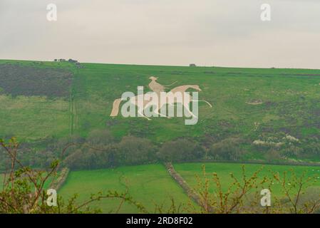 Die berühmte Hügelfigur, die in Kalkstein geschnitten wurde, des Weißen Pferdes von Osmington Hill, Weymouth, Dorset, England, Vereinigtes Königreich, Europa Stockfoto