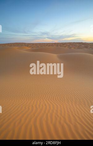 Frühlingsuntergang an den Toren der Sahara-Wüste, mit den Sanddünen beleuchtet vom goldenen Licht, Tunesien, Nordafrika, Afrika Stockfoto