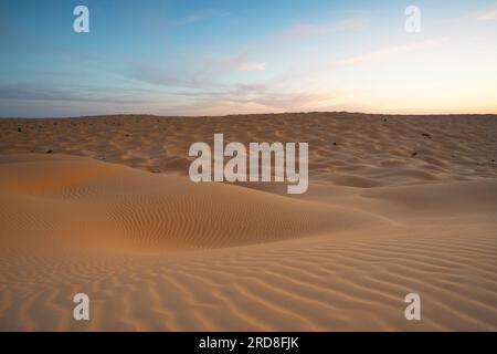 Frühlingsuntergang an den Toren der Sahara-Wüste, mit den Sanddünen beleuchtet vom goldenen Licht, Tunesien, Nordafrika, Afrika Stockfoto