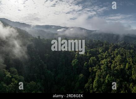 Luftaufnahme des Cloudforest, Mashpi, Reserva Mashpi Amagusa, Pichincha, Ecuador, Südamerika Stockfoto