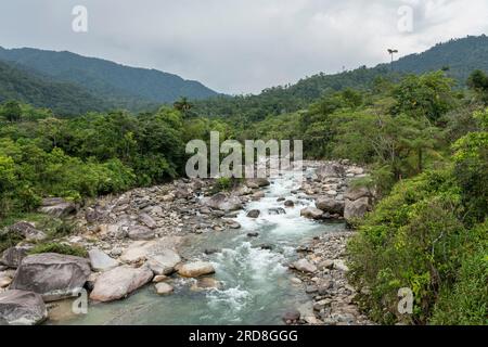 Cotundo, Provinz Napo, Amazonien, Ecuador, Südamerika Stockfoto