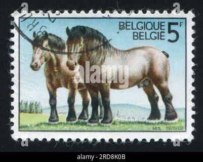 RUSSLAND KALININGRAD, 20. OKTOBER 2015: Briefmarke gedruckt von Belgien, zeigt Ardennen-Zugluftspferde, ca. 1976 Stockfoto