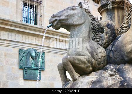 Nahaufnahme des Pferdebrunnens und der Wandtafel aus Metall zum Gedenken an José Maria Martin de Herrera Praza de Praterías Santiago de Compostela Galicia Spanien Stockfoto