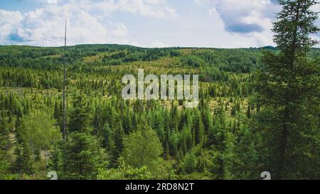 St-Urbain, Kanada - Juli 17 2023: Panoramaaussicht im Grands Jardins National Park in Quebec Stockfoto