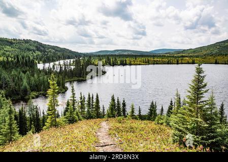 St-Urbain, Kanada - Juli 17 2023: Panoramaaussicht im Grands Jardins National Park in Quebec Stockfoto