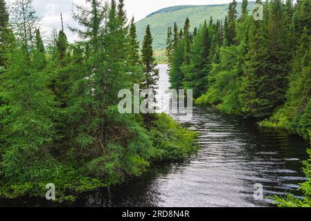 St-Urbain, Kanada - Juli 17 2023: Panoramaaussicht im Grands Jardins National Park in Quebec Stockfoto