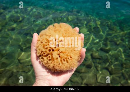 Eine Frau hält die Hand und zeigt einen natürlichen, organischen Schwammbadeschwamm vor blauem Meerwasser-Hintergrund. Stockfoto