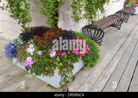 Blumen in Vase in der Nähe des Hauses Stockfoto