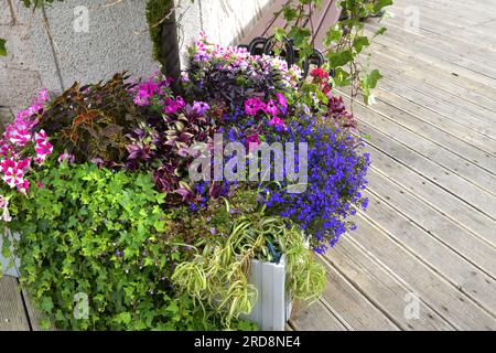 Blumen in Vase in der Nähe des Hauses Stockfoto