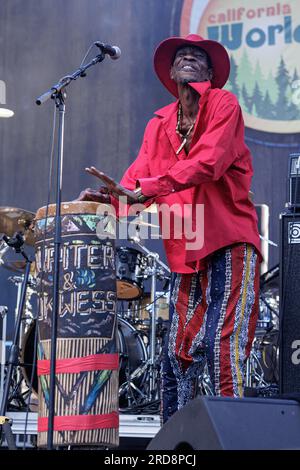 Grass Valley, Usa. 15. Juli 2023. Das California WorldFest findet in Nordkalifornien während der Hitzewelle im Westen der USA statt. Jupiter & Okwess bietet eine Mischung aus Kongo-Rhythmus, Funk und Rock. 15. Juli 2023 (Foto: Penny Collins/NurPhoto) Guthaben: NurPhoto SRL/Alamy Live News Stockfoto