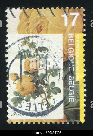 RUSSLAND KALININGRAD, 20. OKTOBER 2015: Stempel gedruckt von Belgien, zeigt Rose, circa 1997 Stockfoto