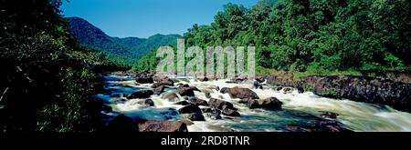 Australien. Queensland. Tully River. Stockfoto