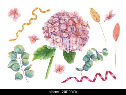 Set mit Hortensien, Eukalyptus, Lagurusspikelet. Perfekter heller Clipart in trendigen Herbstfarben. Aquarelldarstellung isoliert auf weißem Hintergrund Stockfoto