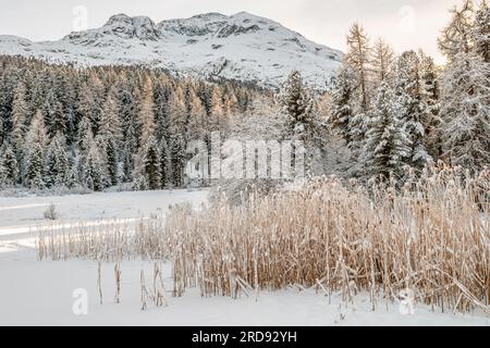 Winterlandschaft in Lej da Staz, Staz-See, Engadine, Grisons, Schweiz Stockfoto