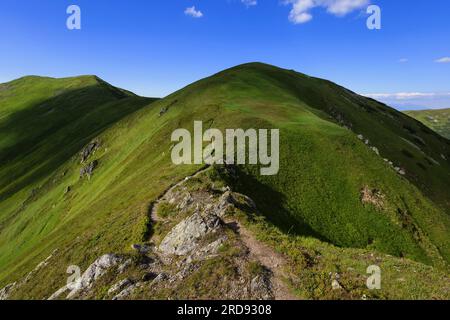 Kotliska, Niedertatra, Slowakei. Berglandschaft im Sommer an sonnigen Tagen. Fußweg zum Gipfel des großen Berges. Stockfoto