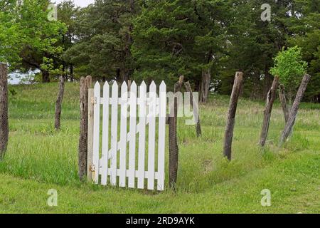 Das weiße Parketttor schließt den rustikalen Hähnchendraht und den hölzernen Stangenzaun im Garten der Spring Hill Ranch im Tallgrass Prairie National Preserve Stockfoto