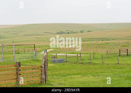 Ein junges Paar wandert auf der Schotterstraße in die Steinhügel, vorbei an der Pferdekoppel im Tallgrass Prairie National Preserve Stockfoto