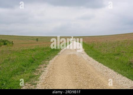 Im Tallgrass Prairie National Preserve durchquert die schlängelnde Schotterstraße amerikanische Bisons Stockfoto