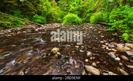 Oneonta Gorge, Columbia River Gorge National Scenic Area, Oregon, USA Stockfoto