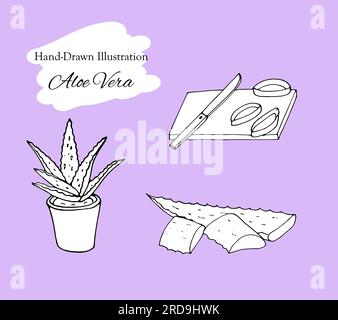 Handgezeichnete Darstellung von Aloe Vera Set. Skizze von Aloe Vera-Elementen. Vektorsilhouetten der botanischen Pflanze. Vektordarstellung für kosmetische Produkte Stock Vektor