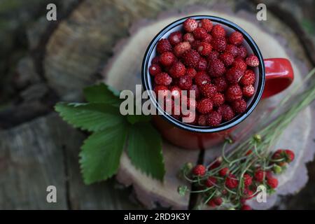 Becher, leckere wilde Erdbeeren und grüne Blätter auf dem Stumpf, Blick über die Kulisse Stockfoto