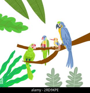 Verschiedene Arten exotischer Vögel. Grafische Darstellung des Vektorgrafiken-Cartoons. Vektordarstellung Stock Vektor
