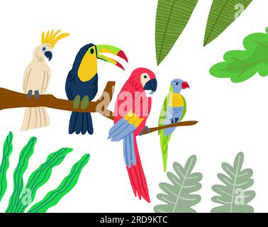 Verschiedene Arten exotischer Vögel. Grafische Darstellung des Vektorgrafiken-Cartoons. Vektordarstellung Stock Vektor
