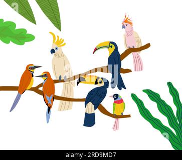 Verschiedene Arten exotischer Vögel. Grafische Darstellung des Vektorgrafiken-Cartoons. Vektordarstellung Stock Vektor