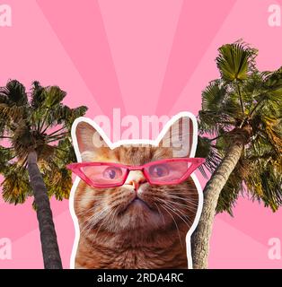 Kreative digitale Kunstcollage mit lustiger Ingwerkatze in Sonnenbrille und Handfläche, Sommerkonzept Stockfoto