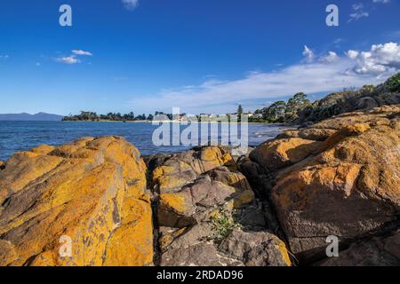 Lichen Covered Boulders Swansea Tasmania Australien Stockfoto