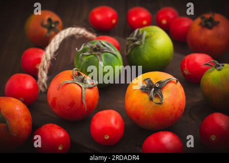 Sammlung von ganzen farbigen Tomaten, serviert auf einem rustikalen Holzhintergrund, Tomaten sind noch lebendig Stockfoto