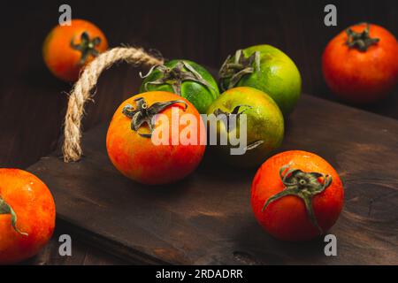 Sammlung von ganzen farbigen Tomaten, serviert auf einem rustikalen Holzhintergrund, Tomaten sind noch lebendig Stockfoto