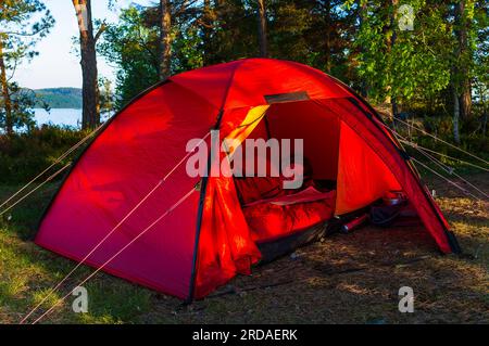 Eine Frau liest im Sommer eine Karte in ihrem roten Zelt, eingebettet zwischen üppig grünen Bäumen und Pflanzen auf dem Campingplatz. Stockfoto