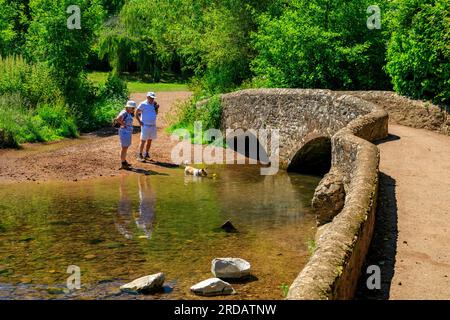 Hundefreunde genießen den friedlichen Fluss Avill an der ehemaligen Packpferdbrücke, bekannt als Gallox Bridge in Dunster, Somerset, England, Großbritannien Stockfoto
